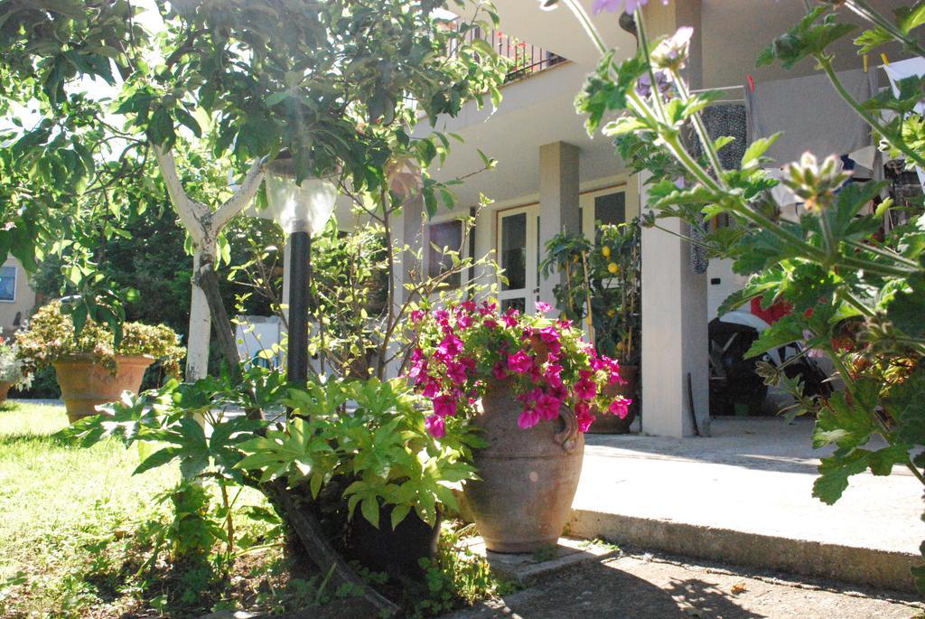 Parte Di Casa Con Giardino E Piscina Villa Pietrasanta Eksteriør billede