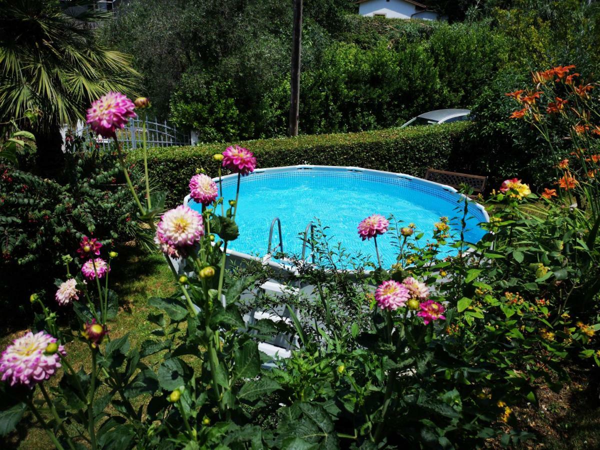 Parte Di Casa Con Giardino E Piscina Villa Pietrasanta Eksteriør billede